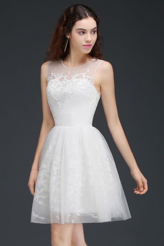 ALEXANDRIA | A Line Sheer Whit Short Tulle Cocktail Dresses With Lace