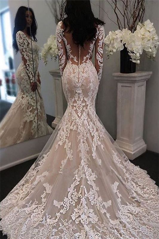 Beautiful Lace Retro Sheer Tulle Gorgeous Long Sleeve Illusion Mermaid Wedding Dresses