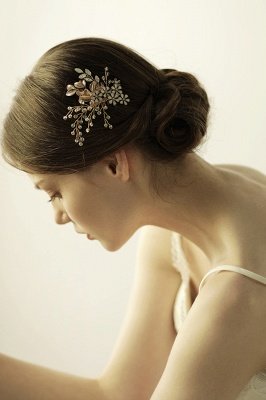 Elegant Alloy＆Rhinestone Daily Wear Combs-Barrettes Headpiece with Crystal_1