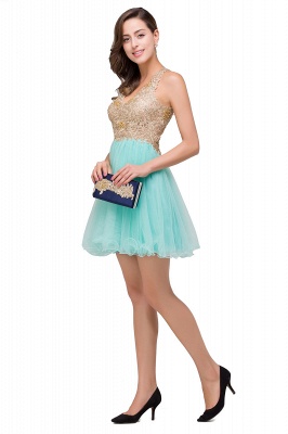 Short Tulle A-line V-Neck Appliques Sleeveless Prom Dresses_7