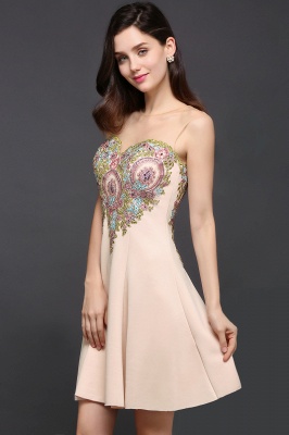 AYLIN | A-line Scoop Chiffon Short Homecoming Dress With Appliques_6