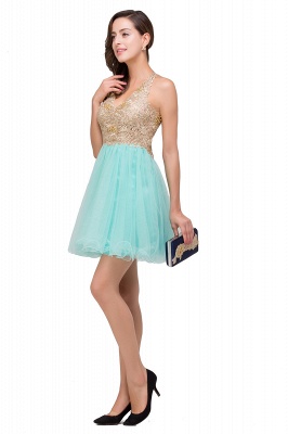 Short Tulle A-line V-Neck Appliques Sleeveless Prom Dresses_8