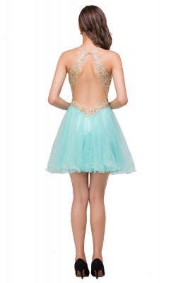 Courte Tulle A-ligne Appliques V-cou sans manches Robes de bal_6