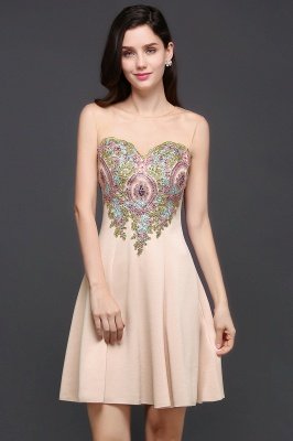 AYLIN | A-line Scoop Chiffon Short Homecoming Dress With Appliques_4