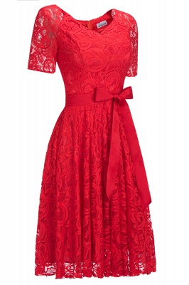 Elegant V-neck Short Sleeves Lace Dresses with Bow Sash_8