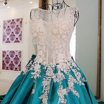 Bow Sleeveless Lace Court Train Applique Ball Gown Prom Dresses_6