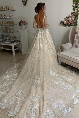 Elegant Lace Appliques V-Neck Wedding Dresses | See Through Long Sleeve Open Back  Bridal Gowns_2