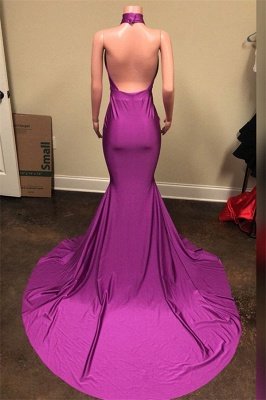 New Arrival Purple Prom Dresses Halter V-Neck Open Back Sleeveless Mermaid Evening Gown_2