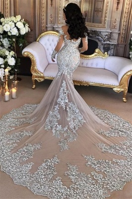 Langarm Silber High Neck Beliebte Abendkleider | Sexy Meerjungfrau Luxus Brautkleider BH-362_4