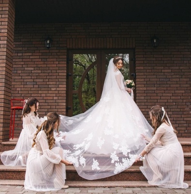 Elegant Lace V-Neck Appliques Sleeveless Wedding Dresses_2