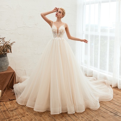 Deep V-Neck Tulle A-line Wedding Dress with Spaghetti Straps_4