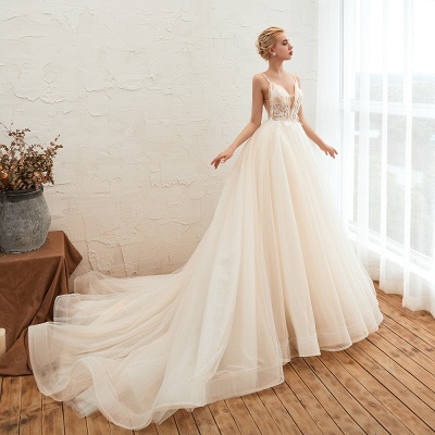 Deep V-Neck Tulle A-line Wedding Dress with Spaghetti Straps_6