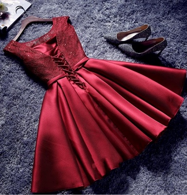 Bowknot Sash Lace-Up-Back Red Custom Made A-line Sexy Short Homecoming Dresses_4