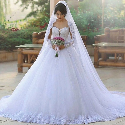 Long Sleeve Bridal Dress  Online | Tulle Lace Appliques Popular Ball Gown Wedding Dresses_3