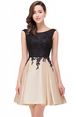 EVA | A-line Sleeveless Lace Appliques Short Prom Dresses_1