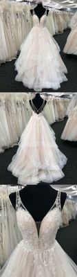 Tulle Deep V Neck Open Back Long Wedding Dress Aline_4