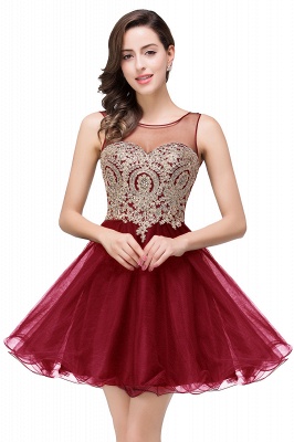 ESTRELLA | A-line Crew Short Sleeveless Appliques Prom Dress_1