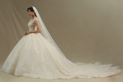 Elegante vestido de novia Aline con mangas casquillo Vestido de novia con apliques de encaje de tul_2