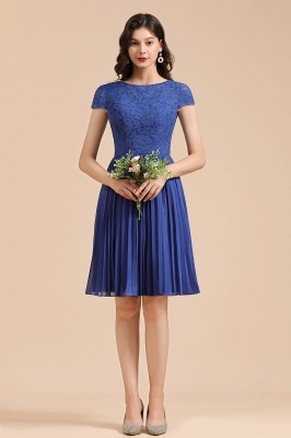 Stylish Floral Lace Short Sleeves Aline Party Dress Mini Daily Casual Dress_6