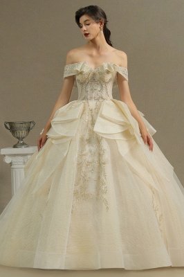 Gorgeous Off-the-Shoulder Floral Garden Ball Gown Tulle Lace Wedding Dress for Bride_2
