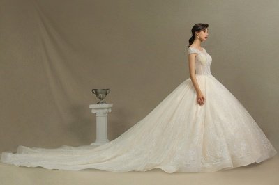 Élégant mancherons robe de mariée Aline tulle dentelle appliques_6