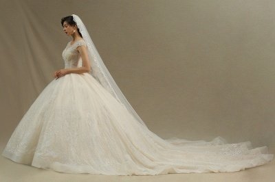 Elegante vestido de novia Aline con mangas casquillo Vestido de novia con apliques de encaje de tul_2
