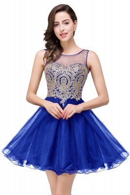 ESTRELLA | A-line Crew Short Sleeveless Appliques Prom Dress_5