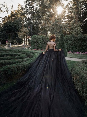 Black Wedding Dresses Tulle A-Line V-Neck Long Sleeves Backless Natural Waist Lace Royal Train Bridal Gown_5