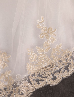 Robe de mariée princesse Ivoire dentelle appliques sur l'épaule robe de mariée à manches courtes_16