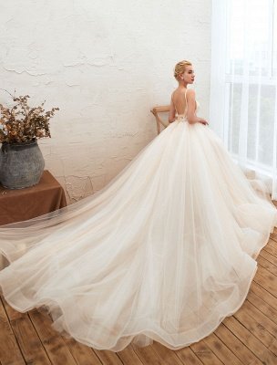 Wedding Dress 2021 A Line V Neck Sleeveless Natural Waist With Train Tulle Bridal Gowns_3