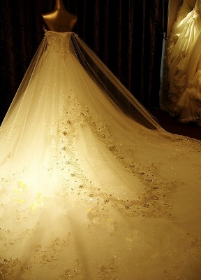 Robes de mariée dentelle appliques robe de mariée sans bretelles décolleté en coeur perlé cathédrale train robe de mariée_4