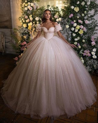 Gorgeous Puffy Sleeves Tulle Ball Gown Princess Sparkly Sequins Bridal Gown_5