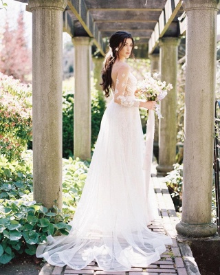 Elegante vestido de novia de manga larga con apliques de encaje de tul vestido de novia de jardín_2