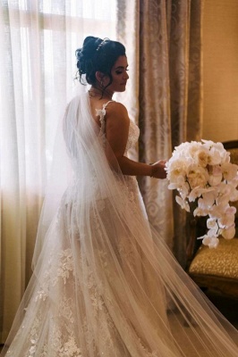 Elegant Aline Wedding Dress Sleeveless V-Neck Garden Bridal Dress_3