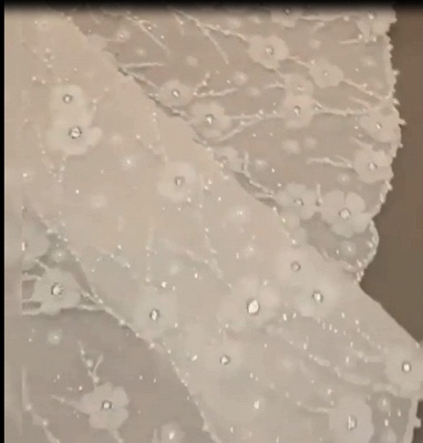 Luxuriöses Kristallblumen-Brautkleid mit langen Ärmeln_6