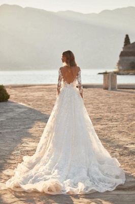Long Sleeves Aline Wedding Dress Elegant Floral Lace Tulle Bridal Dress_2
