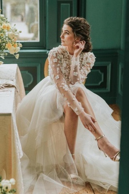 Long Sleeves Hi-Lo Wedding Dress 3D Floral Tulle Bridal Dress_2