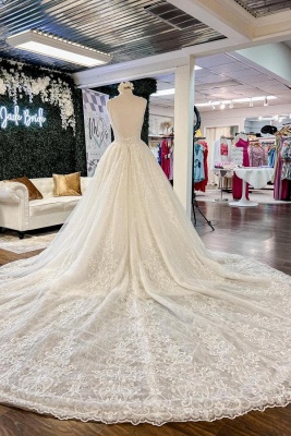 Elegantes V-Ausschnitt Blumenspitze Brautkleid Aline Spaghettiträger Langes Brautkleid_2