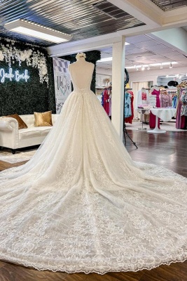 Elegant V-Neck Floral Lace Wedding Dress Aline Spaghetti Straps Long Bridal Dress_2