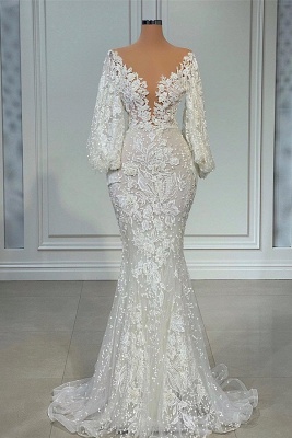 Long Sleeves Lace Appliques V-neck Mermaid Wedding Dress_1