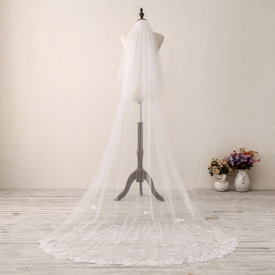 white/ivory Tulle 3m Long Wedding Veil with Lace Appliques