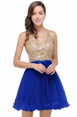 Short Tulle A-line V-Neck Appliques Sleeveless Prom Dresses_2