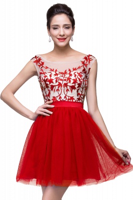 ELIZA | A-line Sleeveless Bateau Short Tulle Appliques Prom Dresses_1