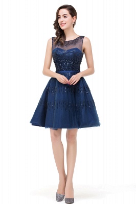 FATIMA | A-Line Sleeveless Crew Tulle Appliques Short Prom Dresses_5