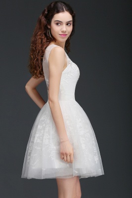ALEXANDRIA | A Line Sheer Whit Short Tulle Cocktail Dresses With Lace_3