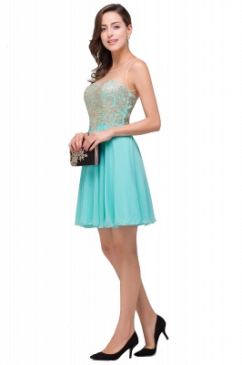 Appliques Elegant Short Sleeveless Chiffon Prom Dresses_6