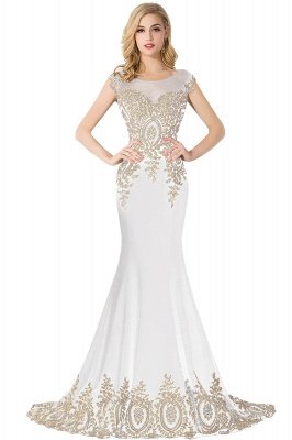 ABIGAIL | Mermaid Court Train Chiffon Evening Dress with Appliques_1