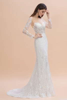 Long Sleeves Lace Tulle Mermaid Bridal Dress Scoop Neck Wedding Dress_3
