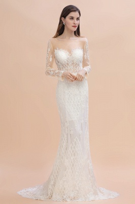 Long Sleeves Lace Tulle Mermaid Bridal Dress Scoop Neck Wedding Dress_5