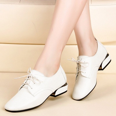 Chunky Heel Lace-up Pointed Toe Oxfords_1